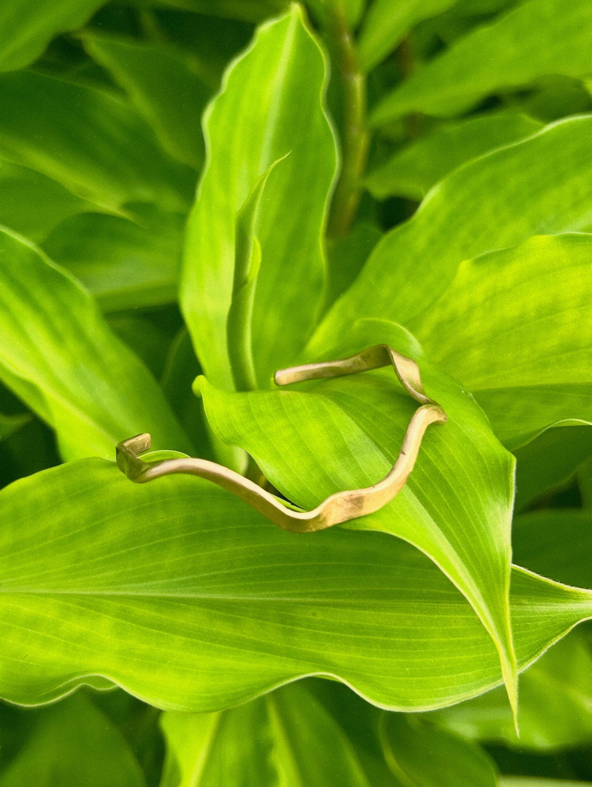Marahuyo Brass Bracelet