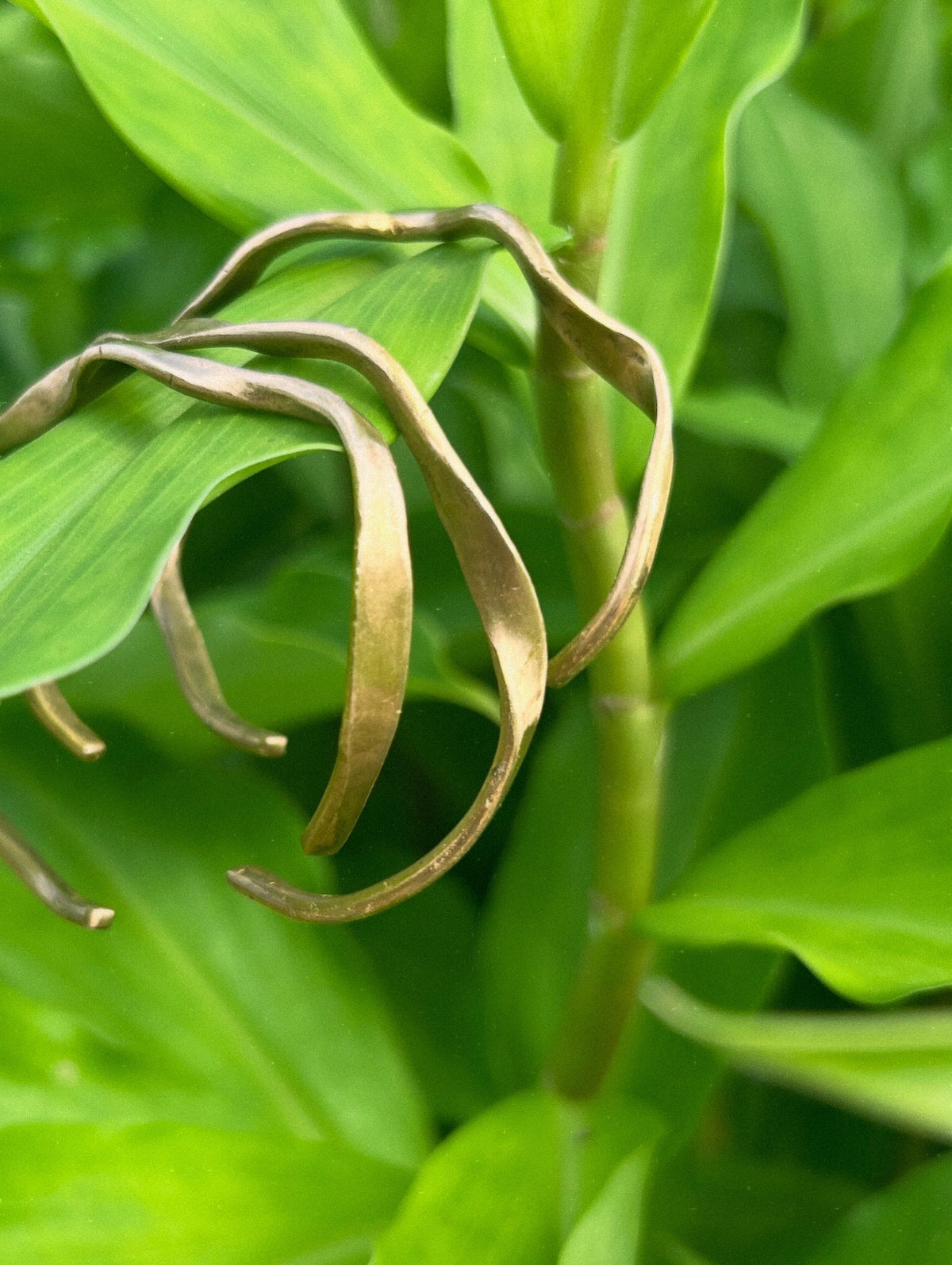 Marahuyo Brass Bracelet