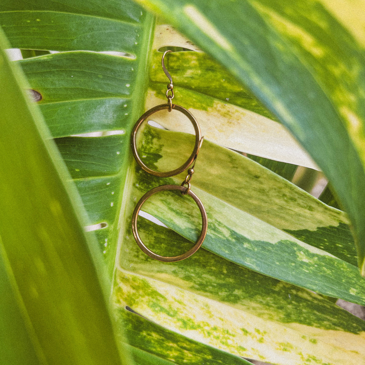 Dangling Hoop Earrings